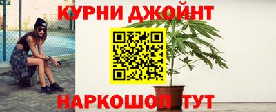 mdpv Краснознаменск