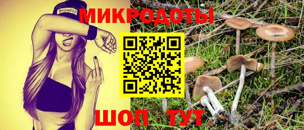 Керчь  Галлюциногенные грибы Psilocybe  Вход с VPN 