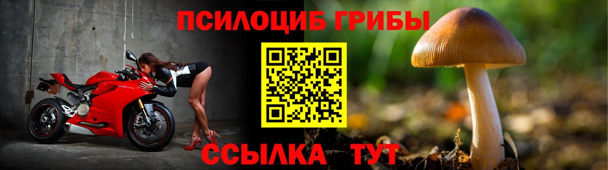Псилоцибиновые грибы MAGIC MUSHROOMS Керчь